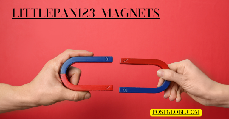 Littlepan123 Magnets: A Safe, Strong, and Creative Solution for All